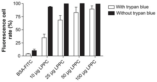 Figure 1 The effects of LPPC on the antigen uptake ability of P338D1 cells. The fluorescent protein (BSA-FITC) was absorbed on LPPC as a reporter antigen and was incubated with P338D1 cells. With (open bar) or without (closed bar) the addition of trypan blue, the fluorescence was analyzed using FACS. The cells with a fluorescence higher than that of the untreated cells were counted as positive cells. The fluorescent rate is presented as follows: (the number of positive cells divided by the number of untreated cells) multiplied by 100%.Abbreviations: BSA, bovine serum albumin; FITC, fluorescein Isothiocyanate; LPPC, liposome-polyethylene glycol (PEG)-polyethyleneimine (PEI) complex.