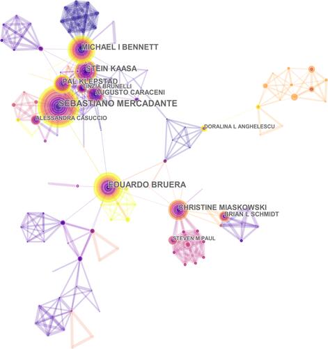 Figure 9 The analysis of authors. Network map of active authors that contributed to cancer and pain research.