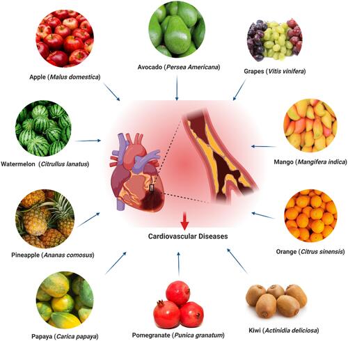 Figure 2 Nutritional fruits conferring protection against CVDs.