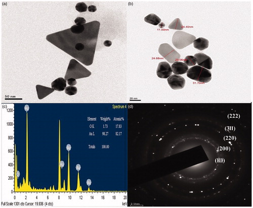 Figure 5. HR-TEM of Au NPs synthesized from root extract of L. camara. (a) and (b) the shapes and different sizes of Au NPs; (c) EDX analysis of Au NPs of L. camara; (d) SAED pattern showing that the nanoparticles are crystalline.