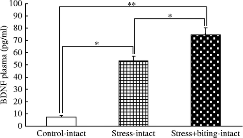 Figure 2.  BDNF plasma concentrations in stress and stress+biting-intact groups. Data are plasma BDNF concentrations in terminal cardiac puncture blood samples. Control: no stress group; stress: 2 h acute immobilization stress group; stress+biting: 2 h acute immobilization stress group allowed to bite a wooden stick (diameter, 0.5 cm) during the latter half of the immobilization period (60 min); Intact: no surgery. Values are means ± SEM; n = 8 rats in each group. *p < 0.05, **p < 0.01, ANOVA/Tukey's.