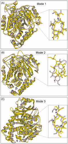 Figure 6. The final (yellow) and initial (gray) structures of binding modes 1(A), 2 (B) and 3 (C) in 12.0 ns MD simulations, respectively.