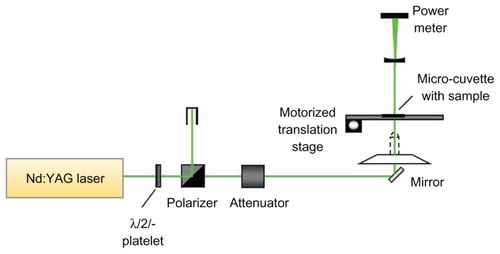 Figure 1 Schematic diagram of the Nd:YAG laser irradiation system.Abbreviation: ND, neodymium.