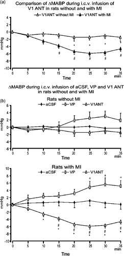 Figure 1 (A) Comparison of changes in MABP from baseline in the sham-operated and the infarcted (MI) rats during i.c.v infusions of VP V1 receptor antagonist (V1ANT), *—significant differences between the corresponding means in the rats with and without the infarct, #—significant difference from baseline. (B) Changes in resting MABP from baseline during i.c.v. infusion of aCSF, arginine VP and VP V1ANT in the sham-operated (upper part) and the infarcted (MI, lower part) rats. Number of rats in the groups: sham CSF—9, sham VP—8, sham V1ANT—8, infarct CSF—8, infarct VP—8, infarct V1ANT—8. Means ± standard errors are shown. The symbols indicate significant differences between the corresponding means in different groups of experiments:+ − significant difference between aCSF and VP groups, #—significant difference between aCSF and V1ANT groups, *—significant difference between VP and V1ANT groups. The results were considered significant if P < 0.05.