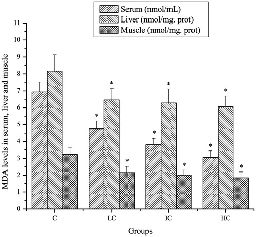 Figure 5. Effects of CSP on MDA levels in serum, liver and muscle of mice. Data are expressed as mean ± SD. CSP: polysaccharides from Cordyceps sinensis; C: control; LC: low-dose CSP treated (100 mg/kg); IC: intermediate-dose CSP treated (200 mg/kg); HC: high-dose CSP treated (400 mg/kg). *, p < 0.05 compared with C group.