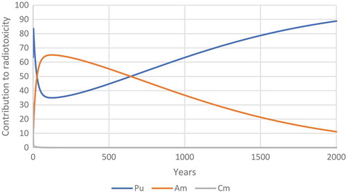 Figure 31. The relative contribution of plutonium, americium and curium to the radiotoxicity of transuranium elements released by Chernobyl.
