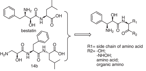 Figure 1.  Novel aminopeptidase N inhibitors with 3-amino-2-hydroxy-3-phenylpropanoic acid scaffold.