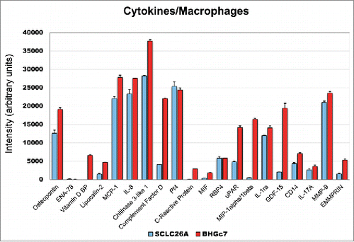 Figure 3. Expression of cytokines/chemokines of SCLC26A and BHGc7-primed macrophages. The figure shows the significantly expressed cytokines/chemokines expressed by macrophages induced by preincubation with CM of SCLC26A and BHBc7 CTC line, respectively (mean ± SD). All differences are statistically significant, except for PF4, RBP4 and IL-17A.