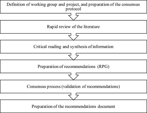 Figure 1 Process followed for the preparation of the consensus document.