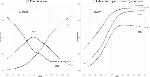 Figure 3 Observed and forecasted proportions of women by (a) education level and (b) labour force participation by education: cohorts, NorwayNotes: As the data clearly show, the proportion of women who have attained tertiary education and the proportion of women participating in the labour market have increased significantly over time. Although our simulation model classifies the simulated women as inactive/active in the labour market, here, for the sake of clarity, only the proportion of women actively participating in the labour market is displayed in panel (b). See the Data subsection for more information on these data and indicators.