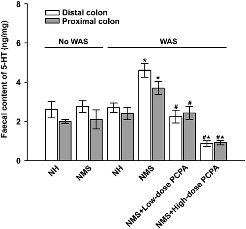 Figure 4.  Effects of WAS and PCPA on faecal content of 5-HT in the proximal and distal colon of normal handled (NH, n = 6) and NMS (n = 8) rats. Data are presented as mean ± S.E.M. In the proximal and distal colon, *P < 0.01 vs. NH+WAS group (n = 5, t-tests); #P < 0.01 vs. NMS+WAS group (n = 5, ▴P < 0.01 vs. NMS+low-dose PCPA+WAS group (n = 4, Bonferroni's correction).