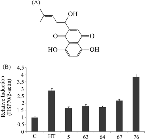 Figure 1. (A) Chemical structure of shikonin. (B) Bands of Hsp70 induced by five active compounds at 1µM concentration were quantified by densitometry and normalised with β-actin. Hyperthermia (HT) 44°C for 15 min was used as a positive control. Bars indicate standard deviation (n = 3).