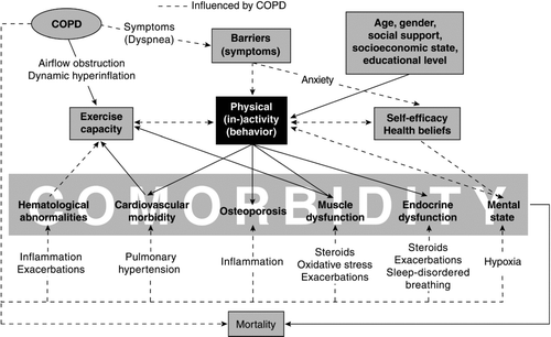 Figure 4 Interrelationships between activity and co-morbidities in COPD. See text for an explanation.