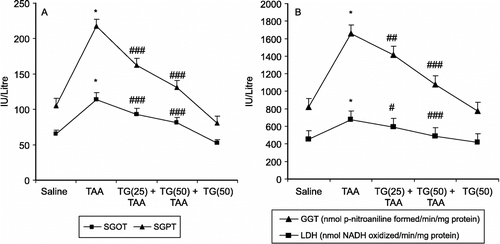 Figure 1 (A) Effect of pretreatment of rats with Tamarix gallica (TG) on thioacetamide (TAA) mediated enhancement in serum oxaloacetate and pyruvate transaminase (GOT and GPT). (B) Lactate dehydrogenase (LDH) and γ-Glutamyl transpeptidase activity (GGT) activity in rats. (Each value represents means ± S.E.; n = 6. *P < 0.001 compared to corresponding value for saline treated control. #P < 0.1, ##P < 0.01 and ###P < 0.001 compared with the corresponding value for treatment with thioacetamide. TG -25 and TG- 50 represent oral administration of Tamarix gallica of 25 and 50 mg/kg body weight respectively.