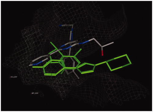 Figure 3. Overlay of crizotinib (green stick) and KIST301072 (element colored stick) bound to ROS1 active site.