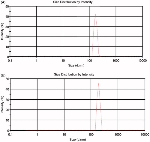 Figure 4. Size distribution of P(NIPAM-co-DMA) nanogel (A) and cisplatin-loaded P(NIPAM-co-DMA)/Fe3O4 nonocomposite (B) analysed by DLS.