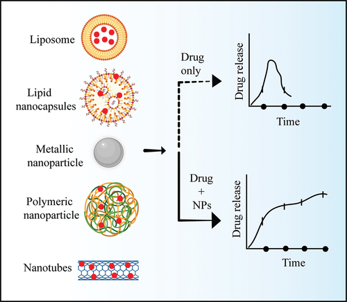 Figure 2. Nanoparticles as a drug delivery system.