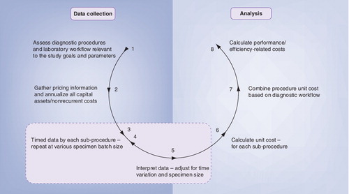Figure 1. Planning for cost analysis in TB laboratory diagnostics.This diagram provides a step by step plan for cost analysis in evaluating TB diagnostic tests in various study settings. Steps 3, 4 and 5 should be undertaken for all the methods evaluated and relevant sub-procedures and repeated to capture data variations caused by specimen loads (and/or specimen batch size). In step 7, the investigator should consult laboratory experts regarding diagnostic workflow to reflect local laboratory practice in combining procedure unit costs.