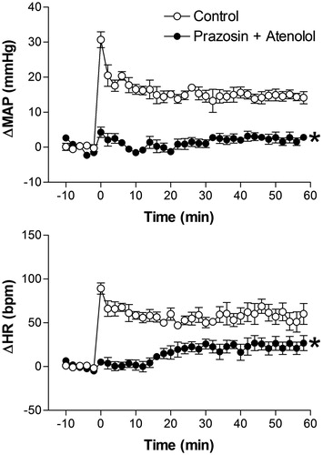 Figure 6. Mean arterial pressure (ΔMAP) and heart rate (ΔHR) changes with time during restraint in the vehicle-treated control group (1 mL/kg, i.v., n = 6), and 0.5 mg/kg prazosin + 1 mg/kg atenolol-treated group (5 mg/kg, i.v., n = 6). Drugs were injected at t = −10 min. The onset of restraint is at t = 0. *Significantly different from control. p < 0.05; two-way ANOVA.