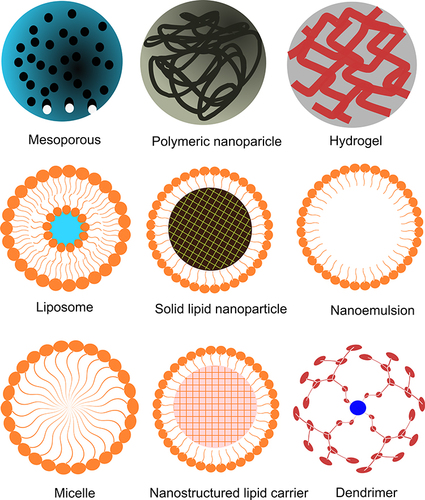Figure 1 Examples of nanoparticles used in the therapeutic management of colorectal cancer.