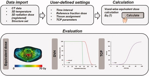 Figure 3. Workflow of X-Term to predict and evaluate equivalent dose distributions for thermoradiotherapy treatments in patients.