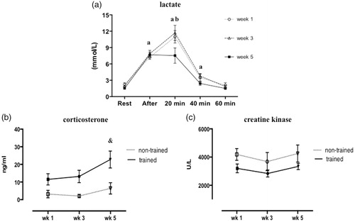 Figure 2. Circulating lactate concentration measured at rest, immediately after, 20, 40, and 60 min post-training of trained rats (a). Plasma corticosterone concentrations (b) and creatine kinase activity (c) in non-trained and trained rats after 1, 3, or 5 weeks. Values are expressed as mean ± SEM. One-way ANOVA followed by Tukey’s post-test (p < .05): avs. previous time of lactate measurement; bvs. week 5; &vs. week 5 of non-trained group. n = 8/group.
