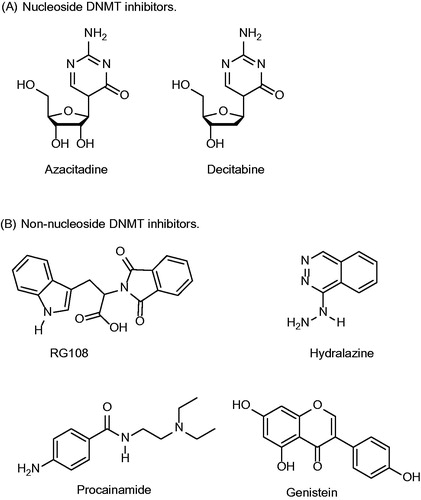 Figure 2. Chemical structures of representative examples of nucleoside and non-nucleoside DNMT inhibitors.