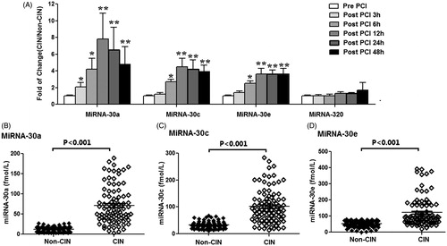 Figure 5. Validating the results of candidate miRNAs screened from the CIN rats in patients with and without CIN. (A) The levels of plasma miR-30a, miR-30c, miR-30e, and miR-320 in CIN patients relative to non-CIN patients assessed by RT-qPCR analyses. Plasma miR-30a, miR-30c, and miR-30e were significantly higher levels in CIN patients compared with non-CIN patients within 6 h after procedures. However, miR-320 was not significantly altered in the CIN patients compared to non-CIN patients. *p < 0.05; **p < 0.01, compared with non-CIN patients. (B–D) Peak concentration of the miR-30a (B), miR-30c (C), and miR-30e (D) in plasma of individual CIN patients compared with non-CIN patients.