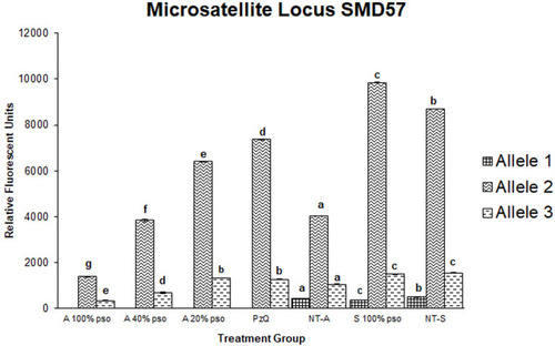 Figure 7 Densitometric measurements of alleles-bands intensities for the microsatellite locus SMD57 in adult worms treated with 100 µL/mL PSO (100% group), 40 µL/mL PSO (40% group), 20 µL/mL PSO (20% PSO), praziquantel (PZQ), untreated adult (NT-A), schistosomula treated with 100 µL/mL (S100% PSO), and schistosomula control (NT-S). Letters a–d refer to significant differences (p<0.05) in comparison to the control of each tested maturation (adult schistosomula) group.