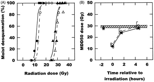 Figure 2. The effect of OXi4503 (50 mg/kg) and mild temperature hyperthermia (41.5 °C, 60 min) on the radiation response of normal foot skin. (A) Radiation dose response curves for moist desquamation in skin treated with radiation alone (△), OXi4503 injected 1.5 h before irradiating (▴), radiation administered in the middle of heating (○), or the combination of OXi4503, radiation and heat (•). Points are for an average of seven mice with the lines drawn following logit analysis. (B) The MDD50 doses are a function of time relative to irradiation, and are taken from the curves shown in (A) and for other similar dose–response curves. Results are for radiation alone (Display full size), OXi4503 injected 1.5 h before irradiating (▴), radiation and heat (○), and OXi4503, radiation and heat (•). Radiation was administered at time zero. Points involving radiation and heat are shown at the middle of the 1-h heating period. Errors are 95%CI.