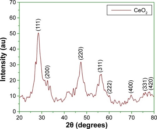 Figure 6 Typical XRD analysis of CeO2 NPs at room temperature.Abbreviations: NPs, nanoparticles; XRD, X-ray diffraction.