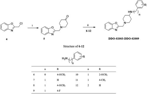Scheme 2. Synthesis of DDO-02003-DDO-02009. Reagents and conditions: (i) piperidin-4-one-hydrochloride, K2CO3, r.t.; (ii) NaB(OAc)3H, anhydrous. ClCH2CH2Cl, r.t.