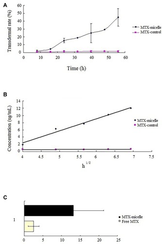 Figure 11 Volume of MTX permeated across and retained in the mice skin. A: The relationship between the MTX percentage permeated across mice skin and time. B: Linear fitting of MTX volume that permeated across mice skin and time 1/2 as micelles or not as micelles. C: Relationship between the MTX percentage retained in mice skin as micelles or not as micelles.