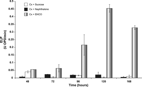 Figure 2.  Detection of extracellular ligninolytic peroxidases (ELP) activities in culture broth of Fusarium solani HP-1 by the OPD test.