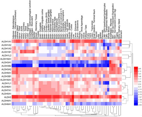 Figure 3. The expression levels of different ALDH family isoforms in 30 normal tissues. The data were derived from the GTEx (Genotype-Tissue Expression Project). Dendrograms and heat maps of ALDH mRNA expression in various normal tissues are shown.