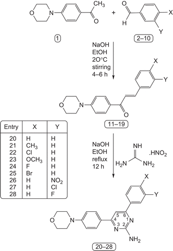 Scheme 1.  Synthesis reaction pathway for formation of 4-(4-morpholinophenyl)-6-aryl-pyrimidin-2-amines.