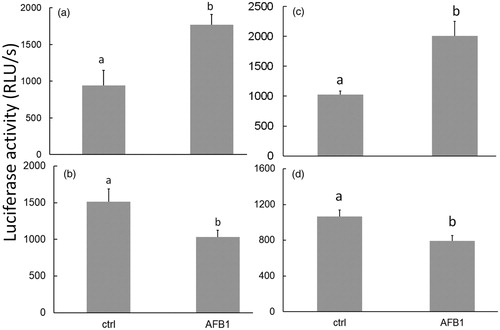 Figure 2. ATP levels in neonatal PMN. Exposure to AFB1 (10 ng/ml) for 24 h induced changes in ATP quantity in bovine (a, b) and camelid (c, d) neonatal PMN that were isolated before (a, c) vs. after (b, d) colostrum consumption. Differing superscripts indicate significant difference (p < 0.05). Values shown are mean ± SEM of 12 per species.