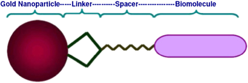 Figure 4. Design strategy for bioconjugate/hybrid gold nanoparticles.