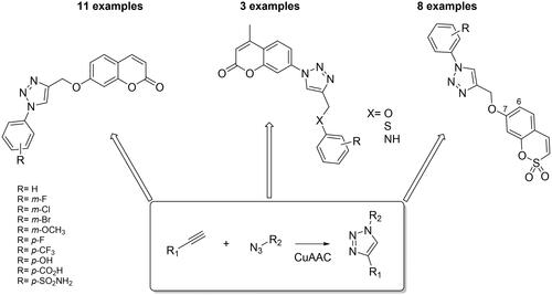 Figure 4. General structures for coumarins and sulfocoumarins-based CAIs developed by click chemistry.