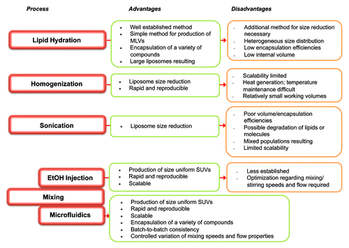 Figure 2. Summary of the advantages and disadvantages of some of the common processes used in the manufacture of liposomes.