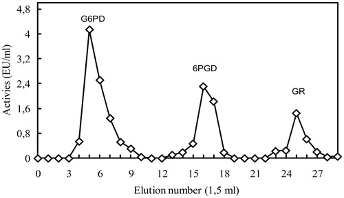 Figure 1. Purification of rat lung G6PD, 6PGD and GR enzymes by 2′, 5′-ADP sepharose 4B aﬃnity column.