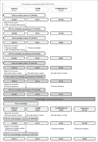 Figure 2. Flow diagram for Study A. N = number of children; Y = number of years following booster vaccination in PCV-vaccinated children; TVC = total vaccinated cohort; ATP = according-to-protocol cohort; PHiD-CV = children previously primed and boosted with PHiD-CV; 7vCRM = children previously primed and boosted with 7vCRM; 7vCRM/PHiD-CV = children previously primed with 7vCRM and boosted with PHiD-CV; Unprimed = age-matched children not previously vaccinated with any pneumococcal vaccine and enrolled as control group for the immunologic memory assessment.