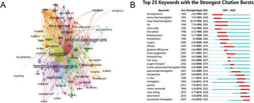 Figure 6 (A) VOSviewer network map of co-occurrence analysis of all keywords of HBOCs-related studies. (B) Top 25 keywords with the strongest citation bursts on HBOCs from burst analysis of keywords.