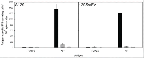 Figure 1. IFN-γ ELISpot responses from A129 and 129Sv/Ev mice vaccinated with MVA-NP3010 (black), MVA-1974 (gray) or saline (white). Splenocytes from vaccinated mice were restimulated with peptides derived from the CCHFv nucleoprotein split into 2 pools and summed, or a single pool containing peptides from the tPA and V5 fusion partners. Mean ± SEM is plotted .