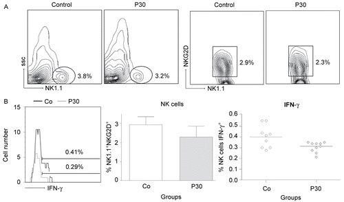 Figure 7.  Effects of P. aquilinum treatment on NK cells during TH1 priming. Evaluation of NK cells isolated from the spleens of mice immunized and challenged with TT after treatment with 30 (P30′) g/kg BW of P. aquilinum and supplementation with B1 vitamin in water ( 10 mg/ml) for 30 days. The percentage of total events acquired (20000) are indicated in the graphs. A. P. aquilinum-treatment reduced NK cell numbers (p = 0.015, two-tailed Mann–Whitney test). B. P. aquilinum-treatment diminished IFNγ production by NK cells (p = 0.023, two-tailed Mann–Whitney test). Data are expressed as the mean ± SD (n = 10).
