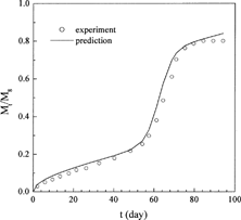 FIG. 4. Comparison of the experimental progesterone release profile from dl-PLA microspheres under 100 kGy irradiation dose with the predicted profile of this work.