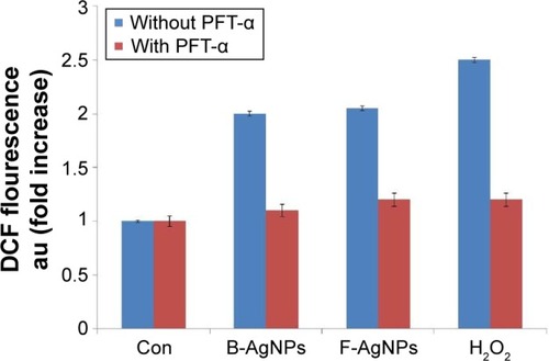 Figure 13 PFT-α inhibits B-AgNPs- and F-AgNPs-induced ROS generation in a p53-independent manner.Notes: Cells were pretreated with PFT-α (10 μM) for 1 hour and then incubated with respective IC50 concentrations of B-AgNPs or F-AgNPs for 24 hours. The relative fluorescence of DCF was measured using a spectrofluorometer, with excitation at 480 nm and emission at 530 nm. All experiments were carried out in triplicate, and the experiments were repeated at least three times. Data are expressed as the mean relative gene expression ± SD of three independent determinations.Abbreviations: B-AgNPs, bacterium-derived AgNPs; Con, control; DCF, 2′,7′-dichlorofluorescein; F-AgNPs, fungus-derived AgNPs; IC50, half-maximal inhibitory concentration; PFT-α, pifithrin-alpha; ROS, reactive oxygen species; SD, standard deviation.