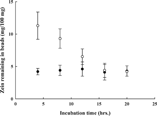 FIG. 7 Effect of incubation time on zein digestion of sample II (○) and sample III (○). Concentration of pepsin, 2 mg/100 ml.