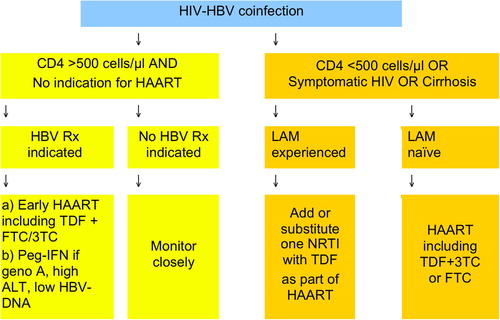 Figure 2. Treatment options for chronic hepatitis B in HIV-positive individuals (adapted from European AIDS Clinical Society Guidelines (Citation8)).
