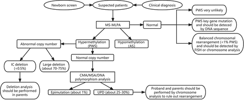 Figure 2. Genetic testing strategies for the Prader-Willi syndrome.